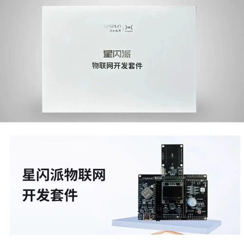 润和软件携“星闪”“鸿蒙”产品亮相FCES2024未来计算机教育峰会，引领软件开发新趋势